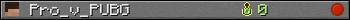 Pro_v_PUBG userbar 350x20