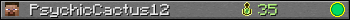 PsychicCactus12 userbar 350x20