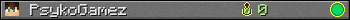 PsykoGamez userbar 350x20