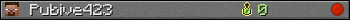 Pubive423 userbar 350x20