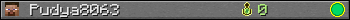 Pudya8063 userbar 350x20