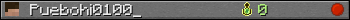 Puebohi0100_ userbar 350x20