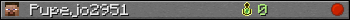 Pupejo2951 userbar 350x20