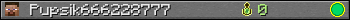 Pupsik666228777 userbar 350x20