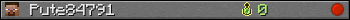 Pute84791 userbar 350x20
