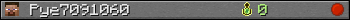 Pye7091060 userbar 350x20