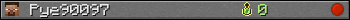 Pye90097 userbar 350x20