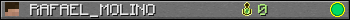 RAFAEL_MOLINO userbar 350x20