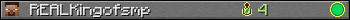 REALKingofsmp userbar 350x20