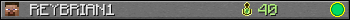 REYBRIAN1 userbar 350x20