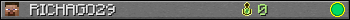RICHAGO29 userbar 350x20