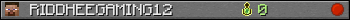 RIDDHEEGAMING12 userbar 350x20