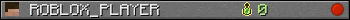 ROBLOX_PLAYER userbar 350x20