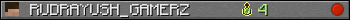 RUDRAYUSH_GAMERZ userbar 350x20