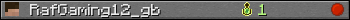 RafGaming12_gb userbar 350x20