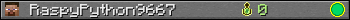 RaspyPython9667 userbar 350x20