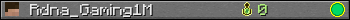 Rdna_Gaming1M userbar 350x20