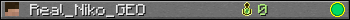 Real_Niko_GEO userbar 350x20