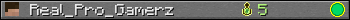 Real_Pro_Gamerz userbar 350x20