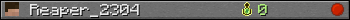 Reaper_2304 userbar 350x20