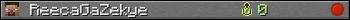 ReecaGaZekye userbar 350x20