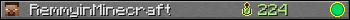 RemmyinMinecraft userbar 350x20