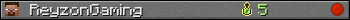 ReyzonGaming userbar 350x20