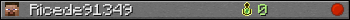 Ricede91349 userbar 350x20