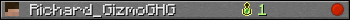 Richard_GizmoGHG userbar 350x20