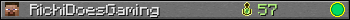 RichiDoesGaming userbar 350x20