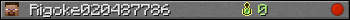 Rigoke020487786 userbar 350x20