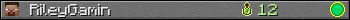 RileyGamin userbar 350x20