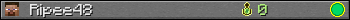 Ripee48 userbar 350x20
