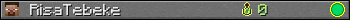 RisaTebeke userbar 350x20
