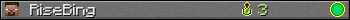 RiseBing userbar 350x20