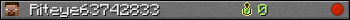Riteye63742833 userbar 350x20