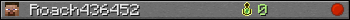 Roach436452 userbar 350x20
