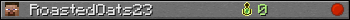 RoastedOats23 userbar 350x20