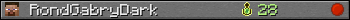 RondGabryDark userbar 350x20