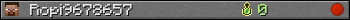 Ropi9678657 userbar 350x20