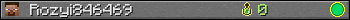 Rozyi846469 userbar 350x20