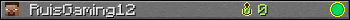 RuisGaming12 userbar 350x20