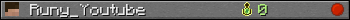 Runy_Youtube userbar 350x20