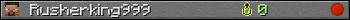 Rusherking999 userbar 350x20