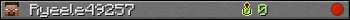 Ryeele49257 userbar 350x20