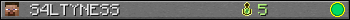 S4LTYNESS userbar 350x20