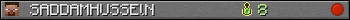 SADDAMHUSSElN userbar 350x20