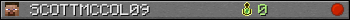 SCOTTMCCOL09 userbar 350x20