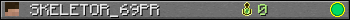 SKELETOR_69PR userbar 350x20