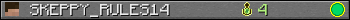 Юзербар 350x20 для SKEPPY_RULES14